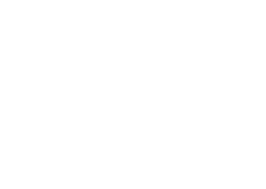 BlueCloud IAAS, LLC